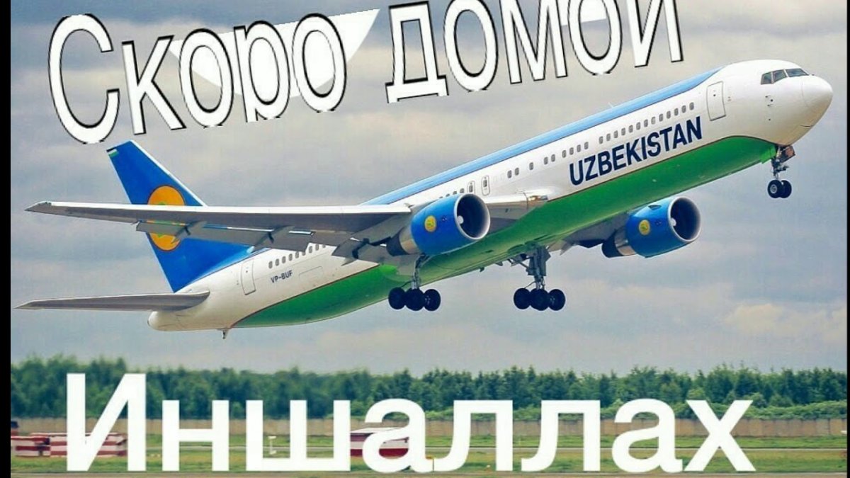 Скоро домой