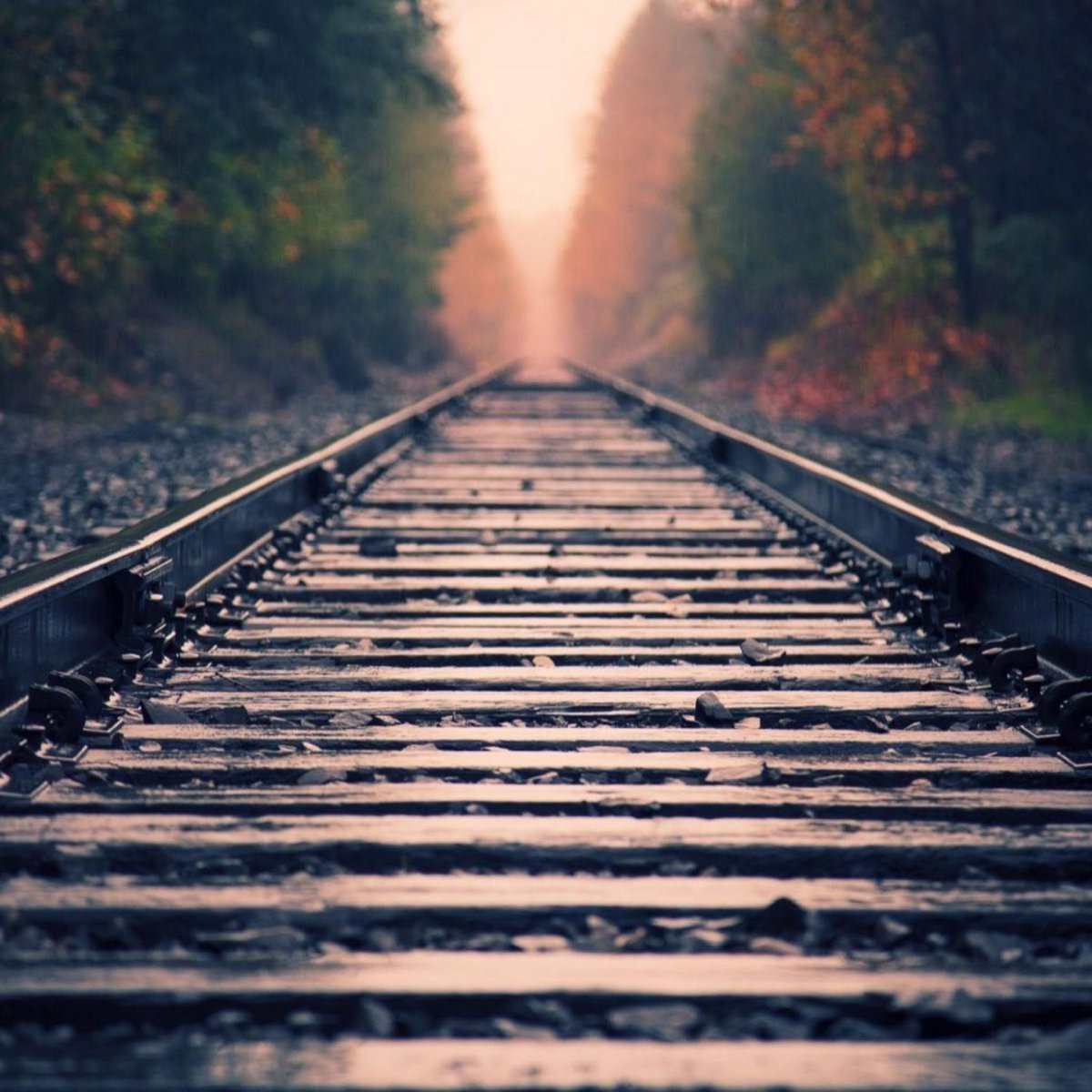 Хочется домой