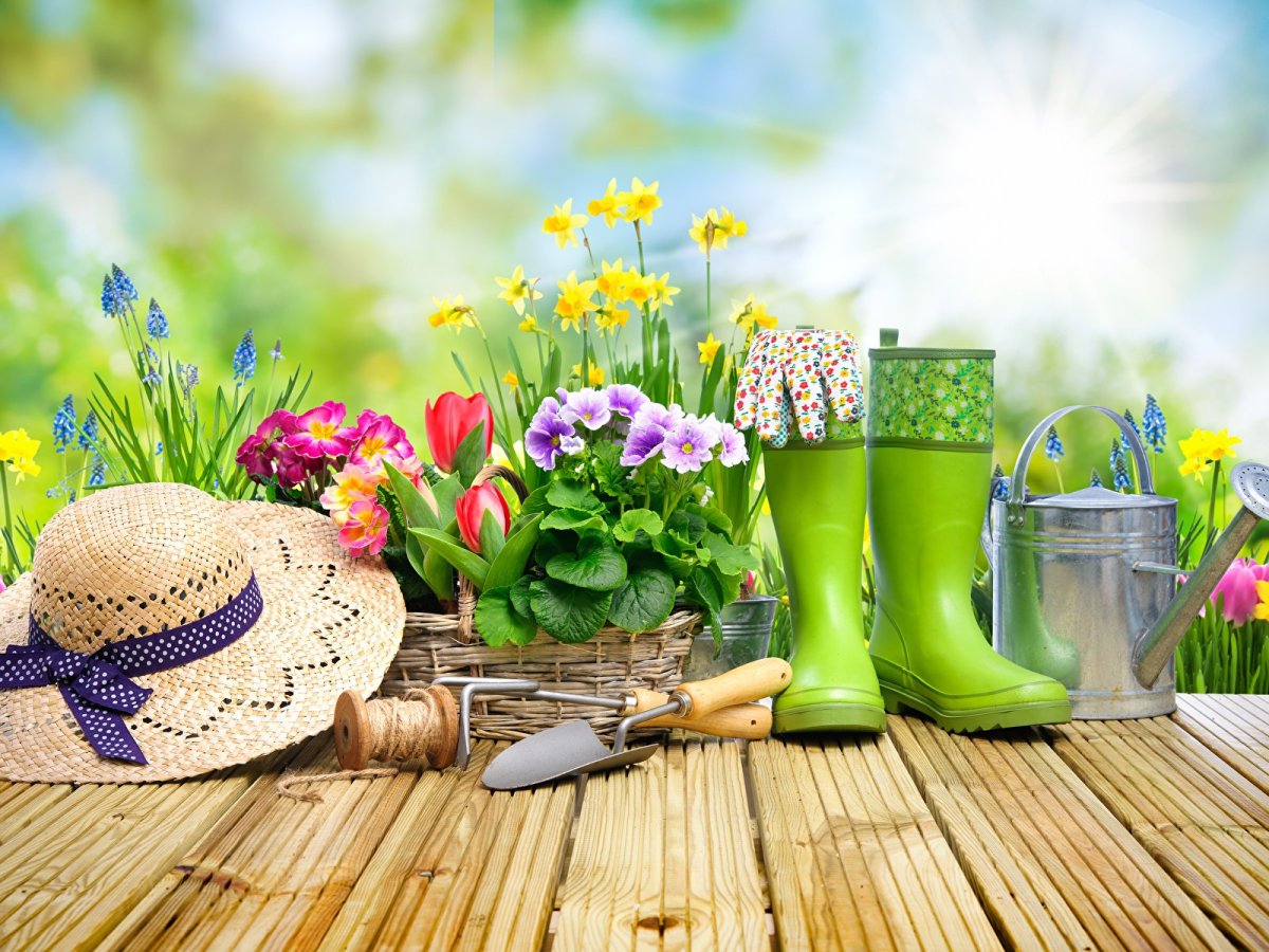 Весенний огород