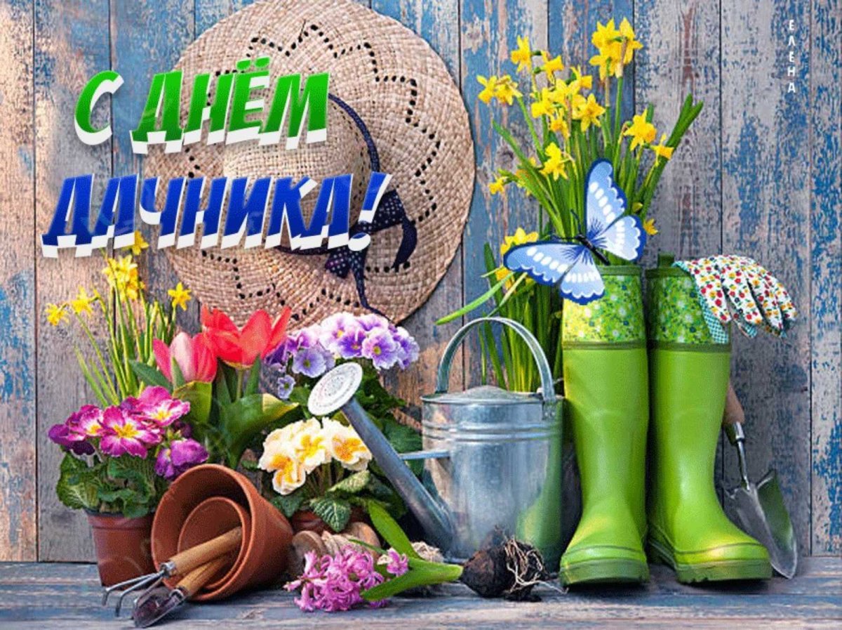 С днем дачника поздравления