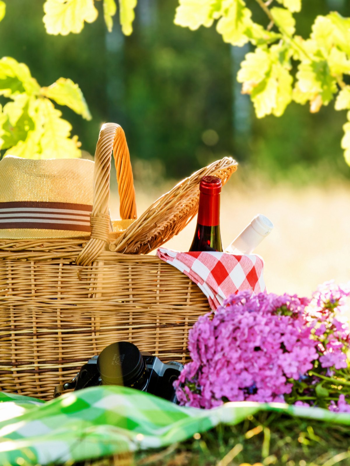 Цветы пикник