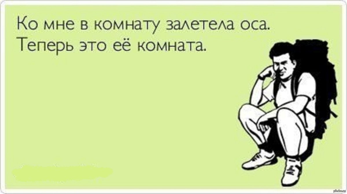 Анекдоты про таможенников