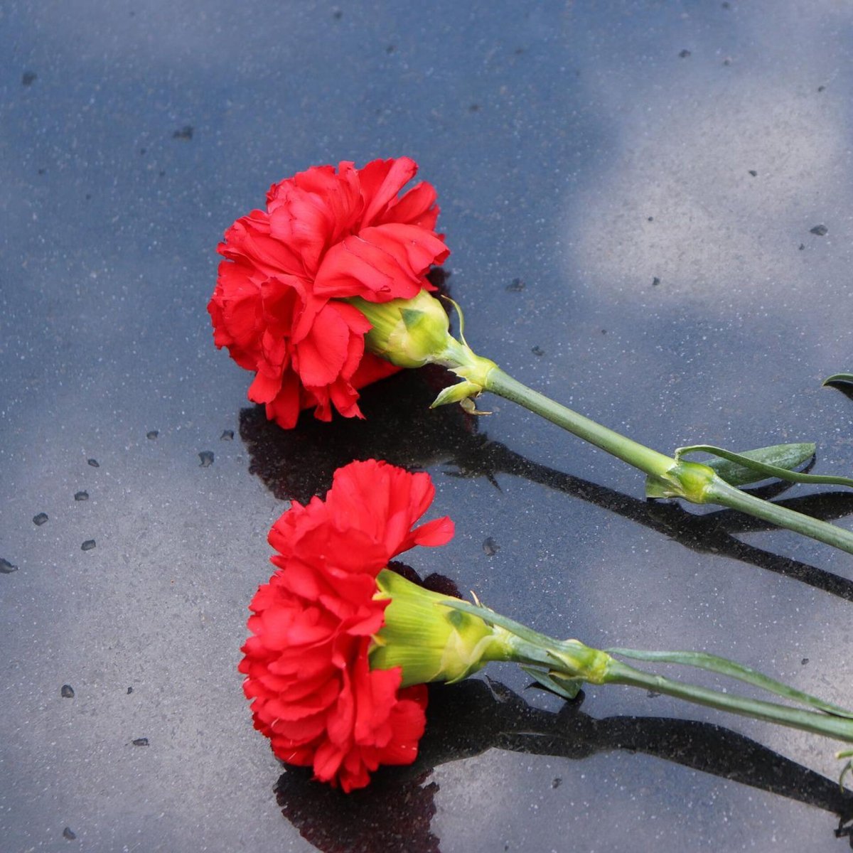 Гвоздики 2 штуки