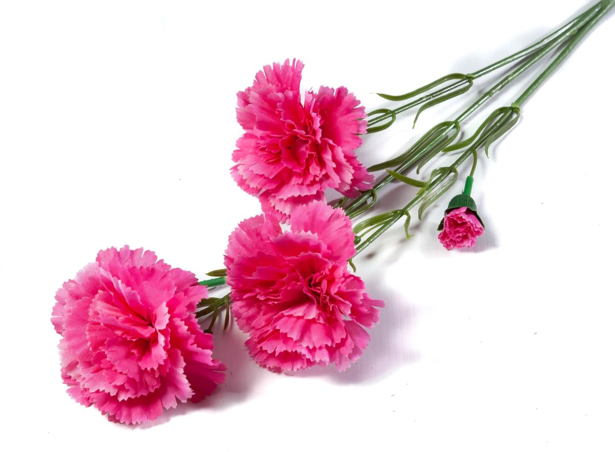 Красные гвоздики