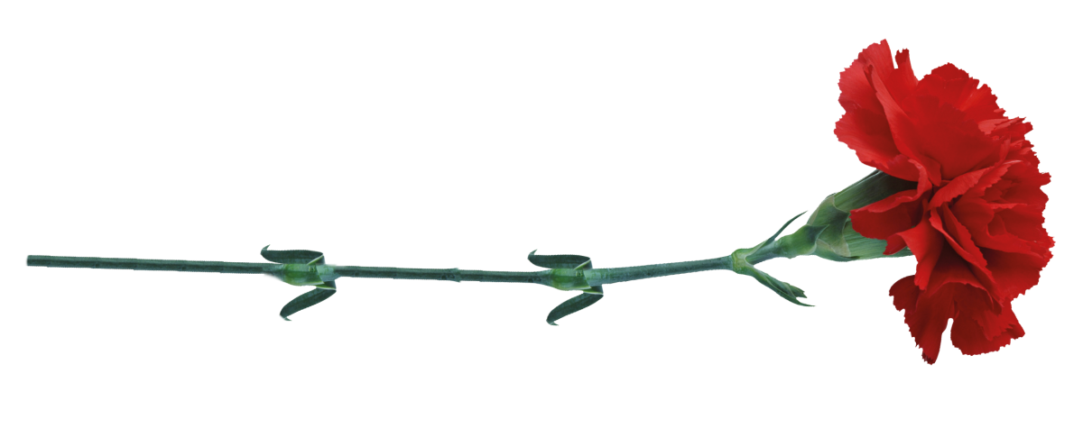 Гвоздики гравировка