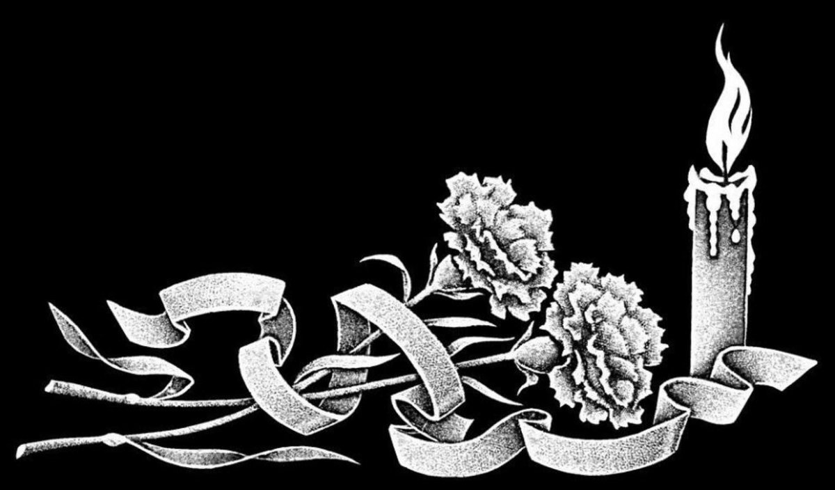 Гвоздики похоронные цветы