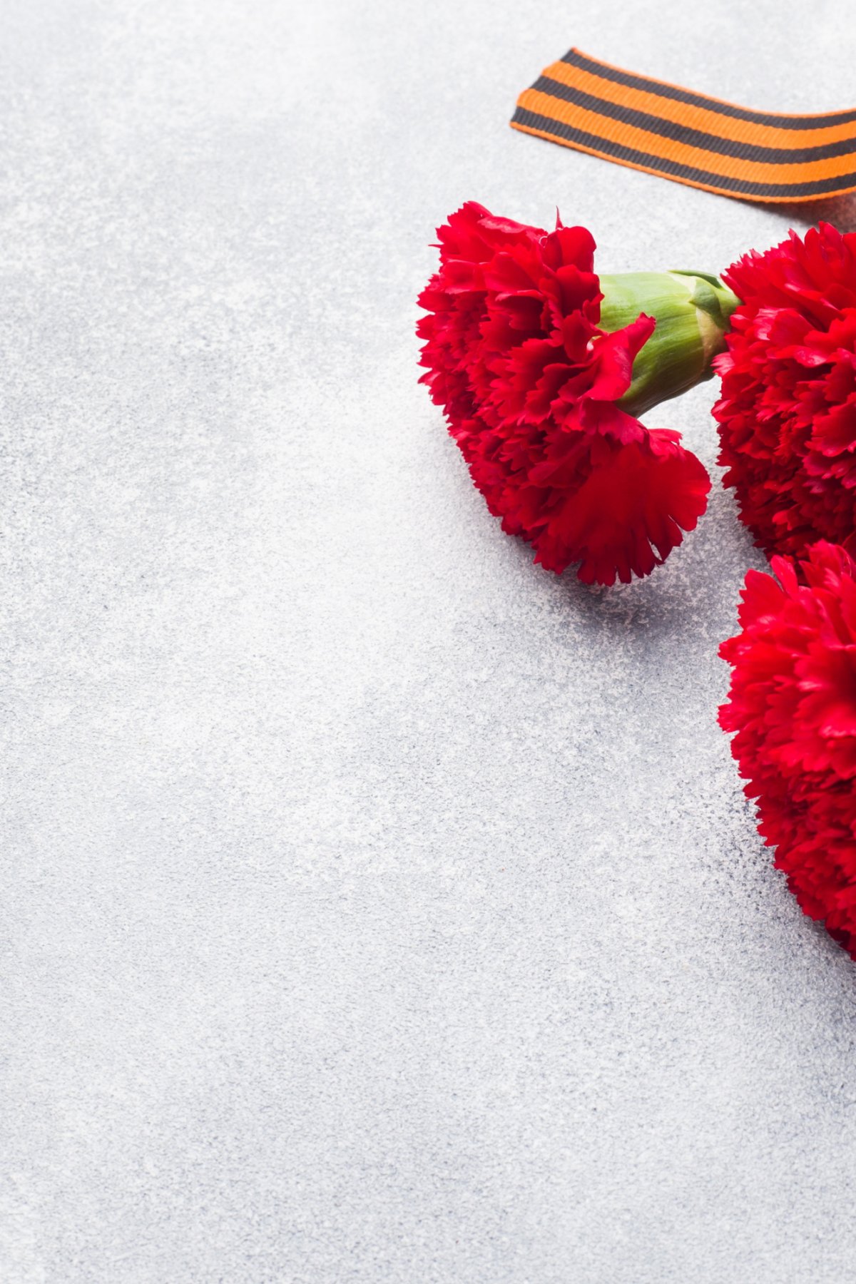 Гвоздики с георгиевской лентой