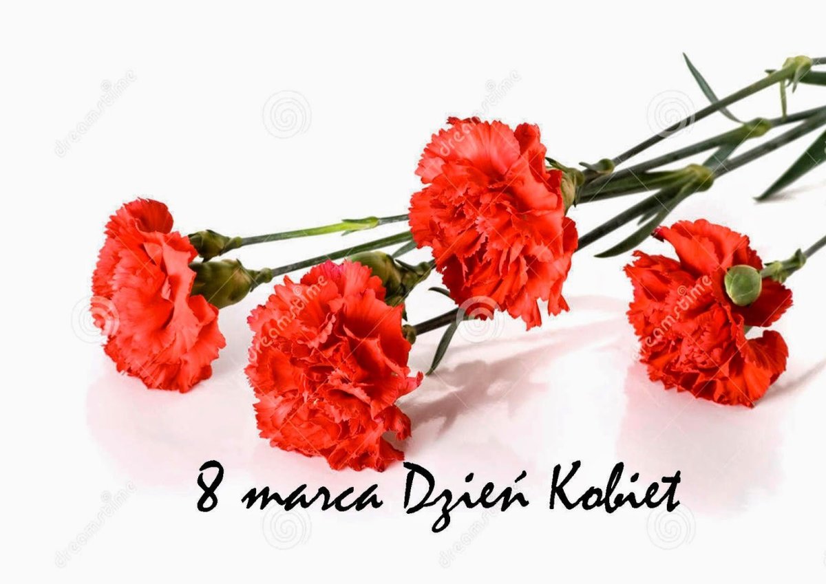 Красные гвоздики на 9 мая