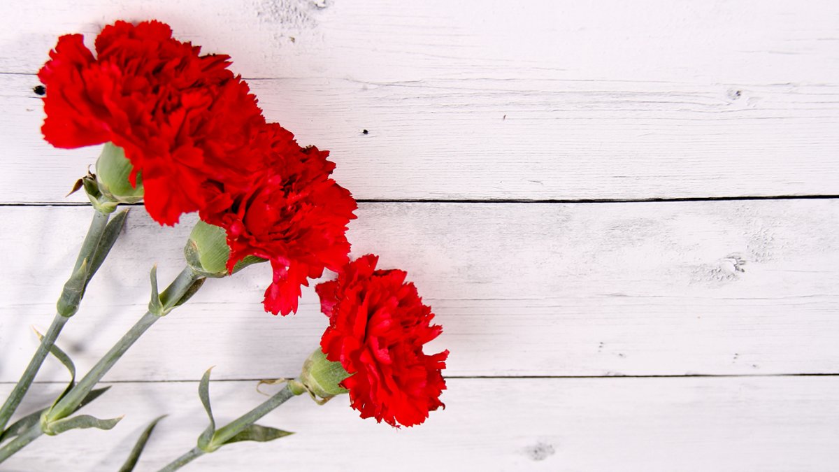 Гвоздики гравировка