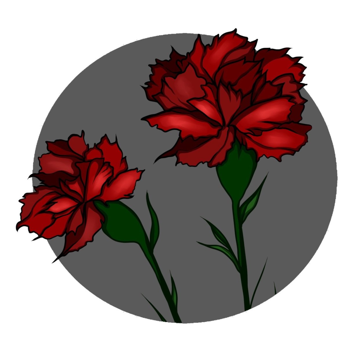 Гвоздики лежачие