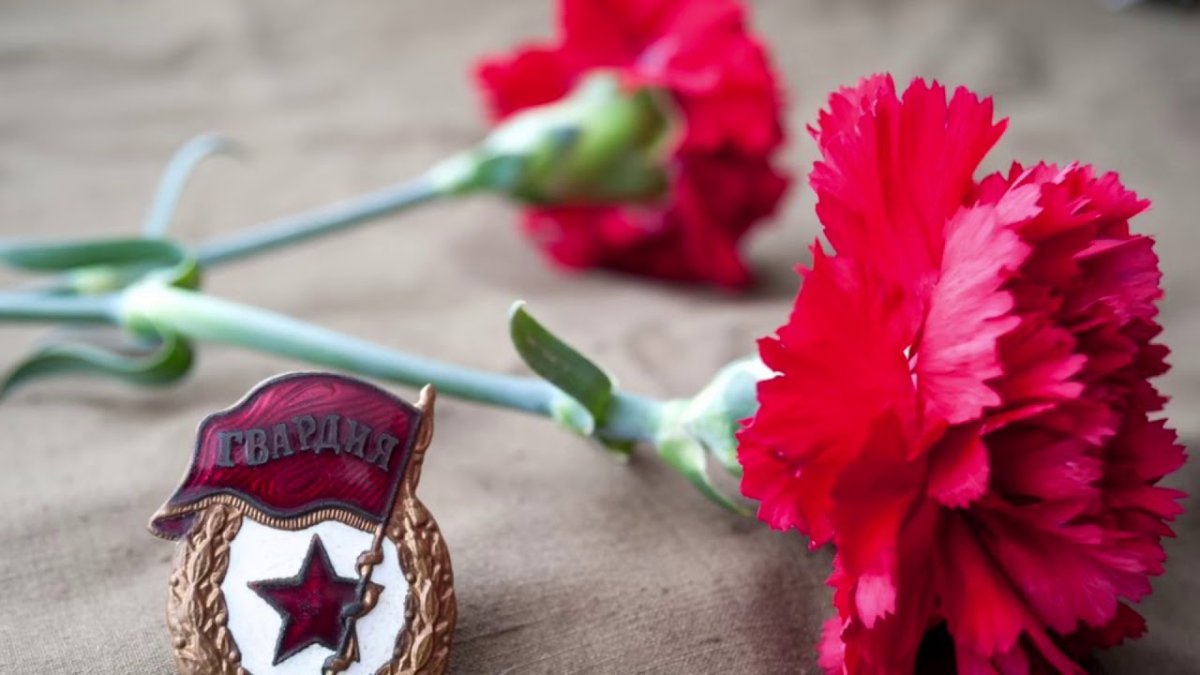 Гвоздика Диантус красная