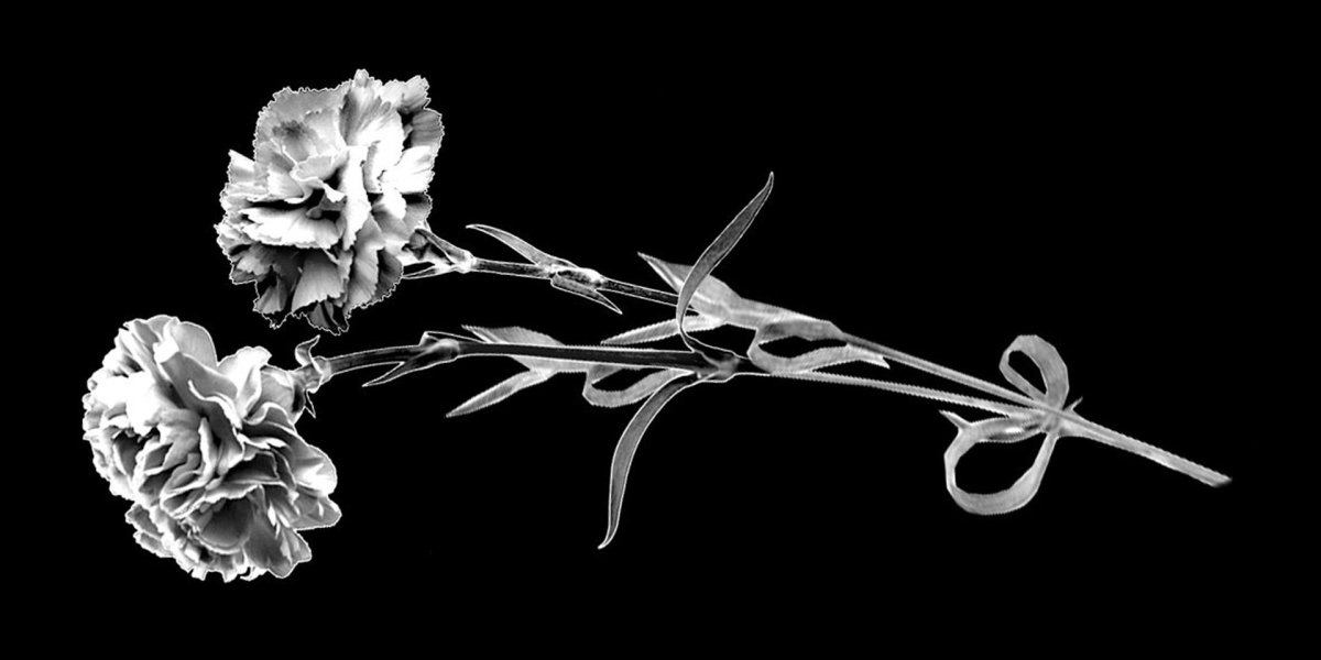 Гвоздики для гравировки на памятник