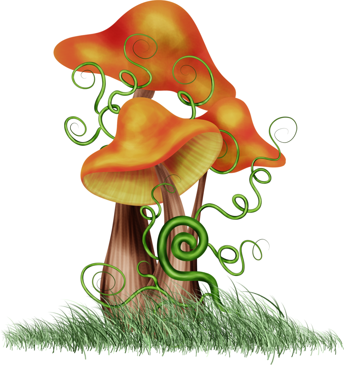 Сказочный лес