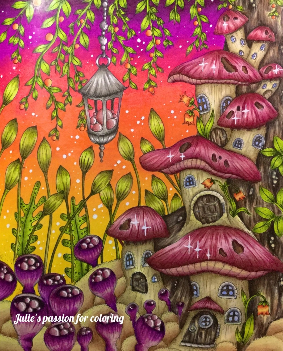 Инди КИД грибы