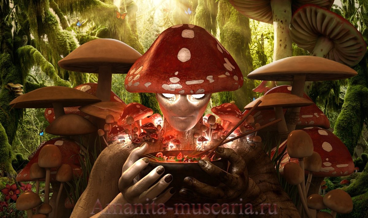 Гриб рисунок