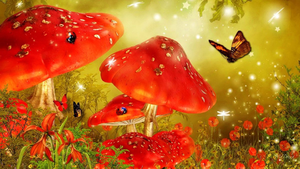 Сказочный лес с грибами