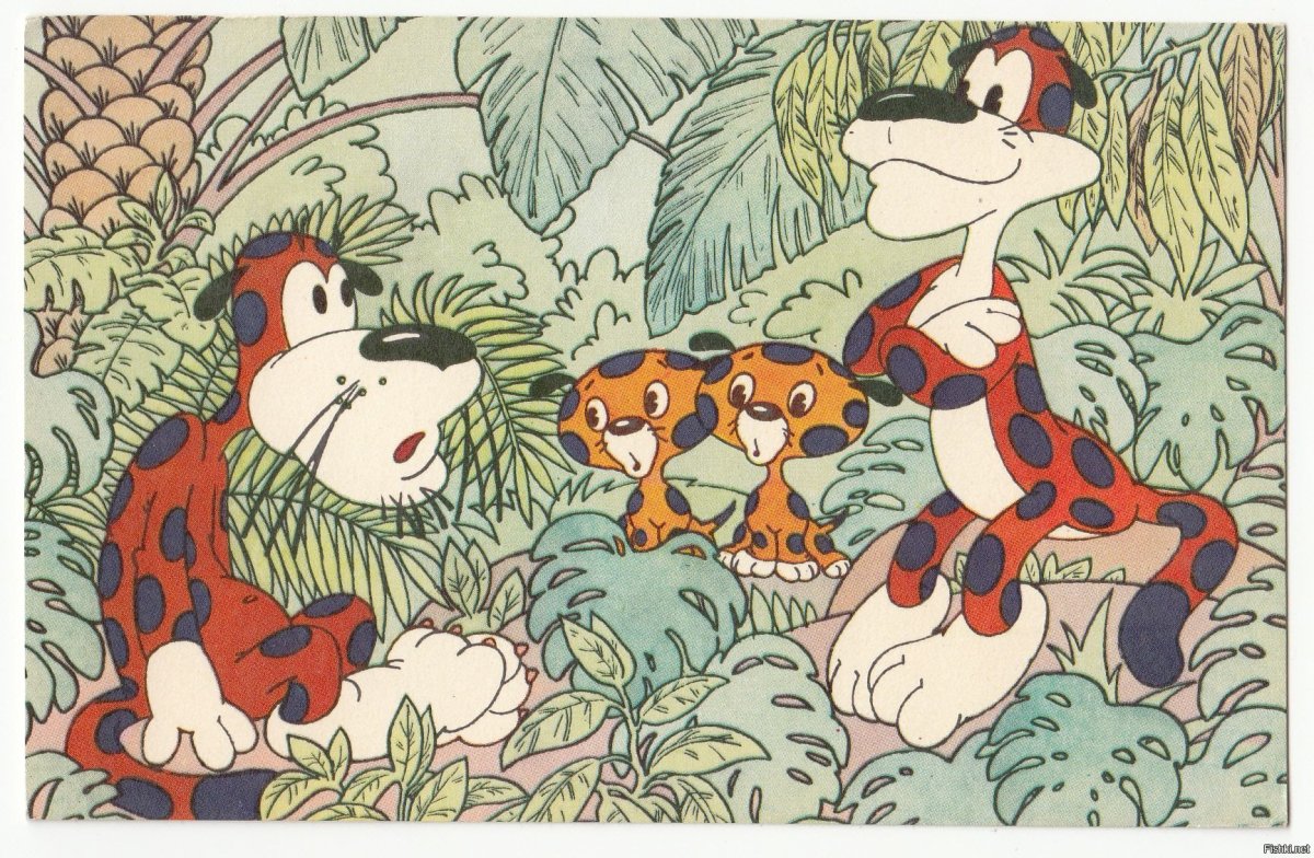 Дом для леопарда 1979