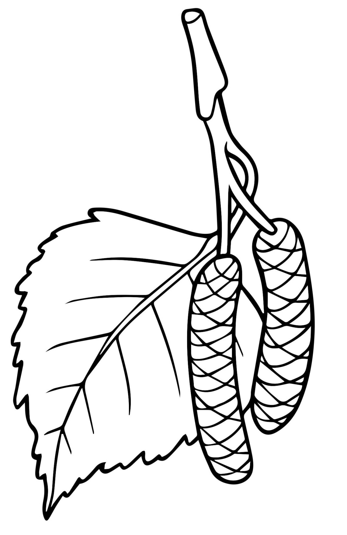 Березовые листочки