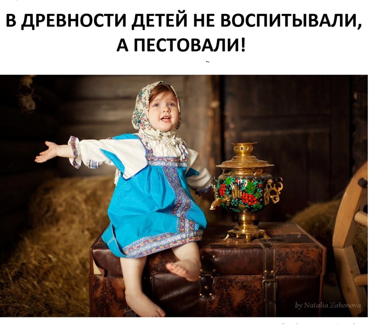 Деревенская гармонь