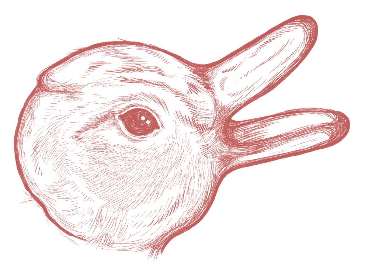 Утка кролик Витгенштейна