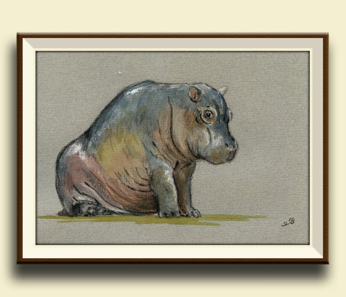 Карликовый гиппопотам