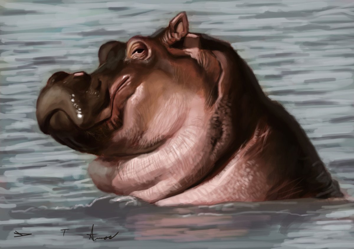 Текстура гиппопотам