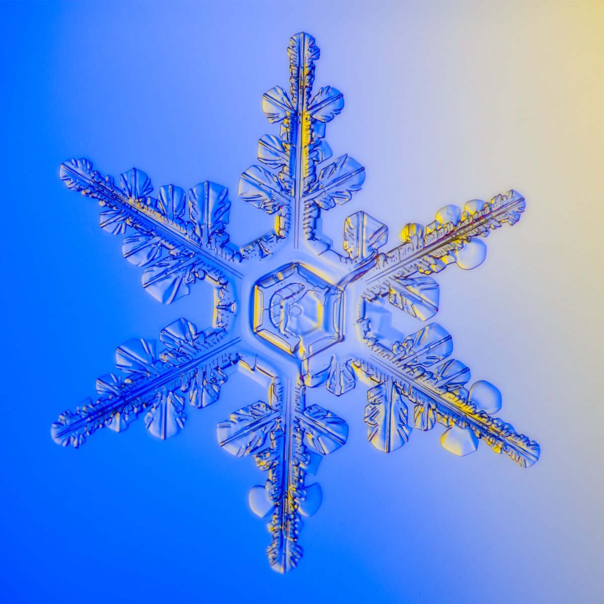 Снежинки цветные