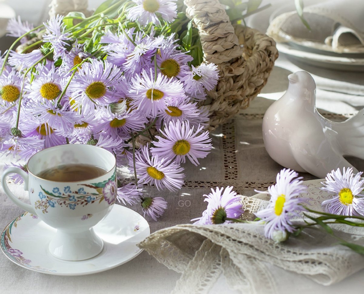 Чудного утра дня