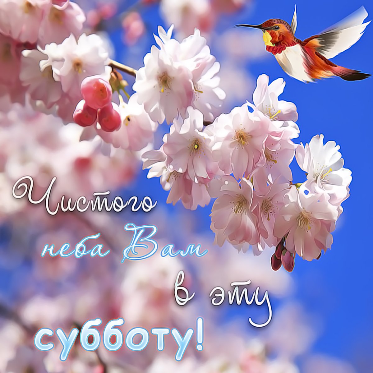 Открытка прекрасный день