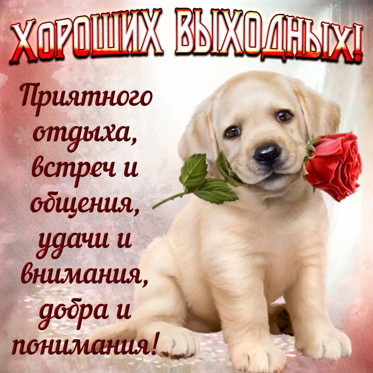 Доброго субботнего дня