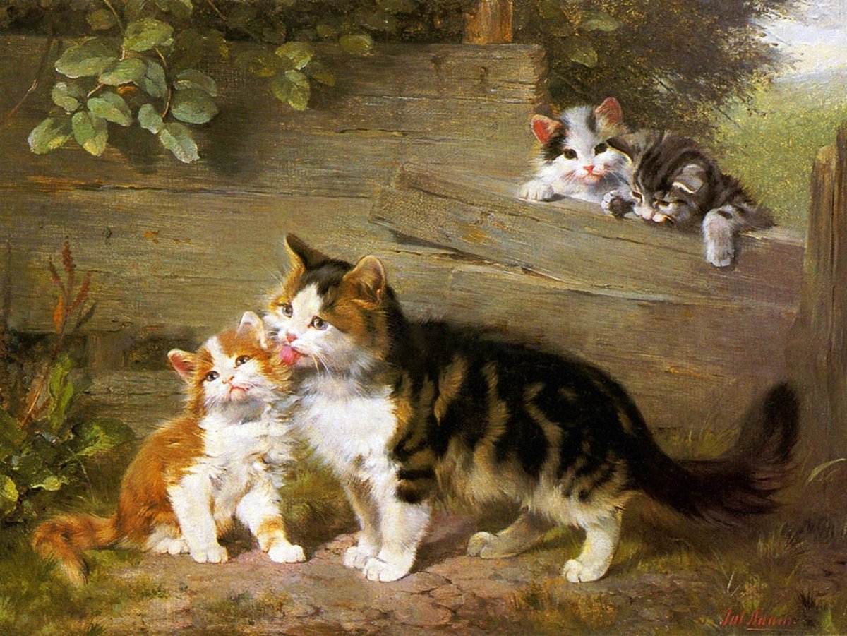 Джулиус адам (1852-1913)