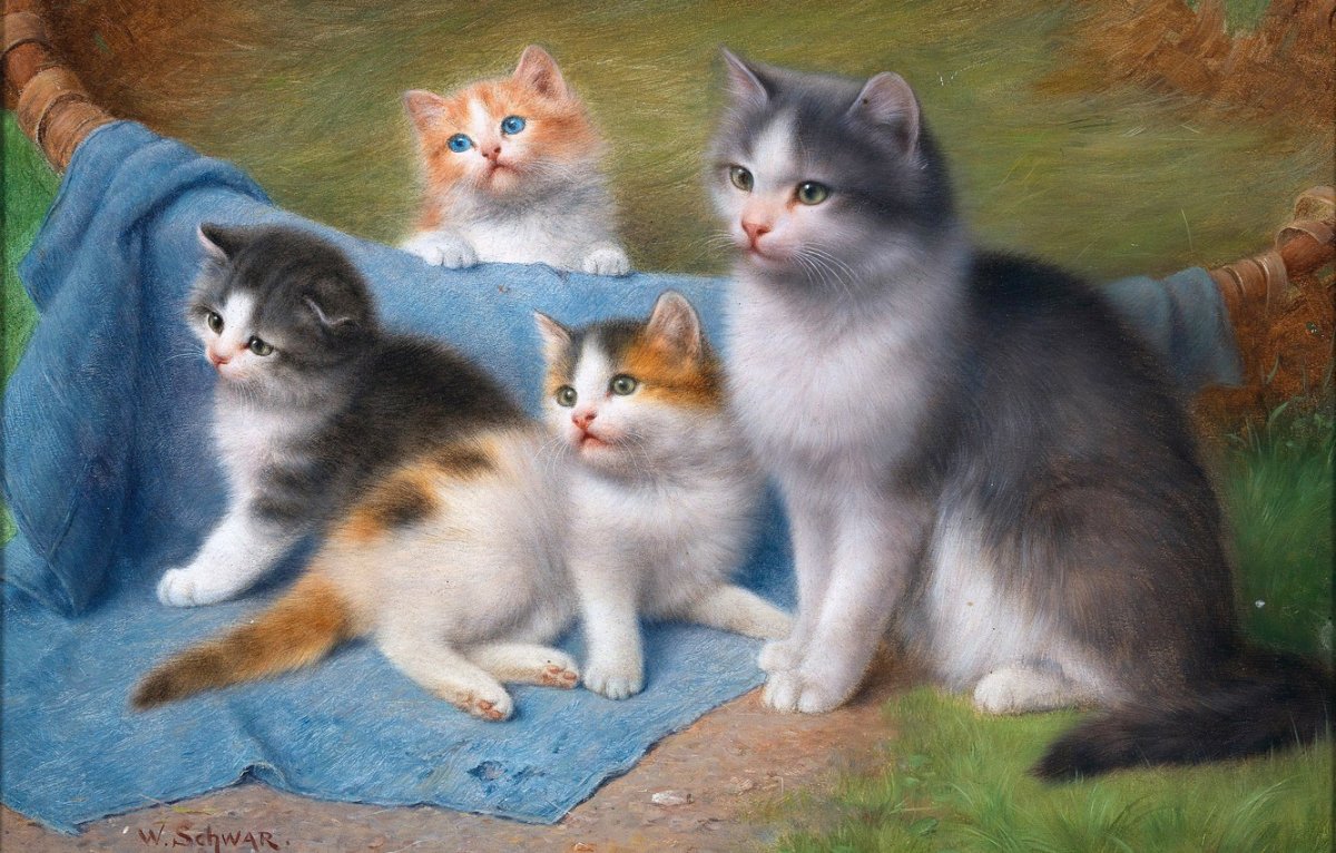 Семья кошек