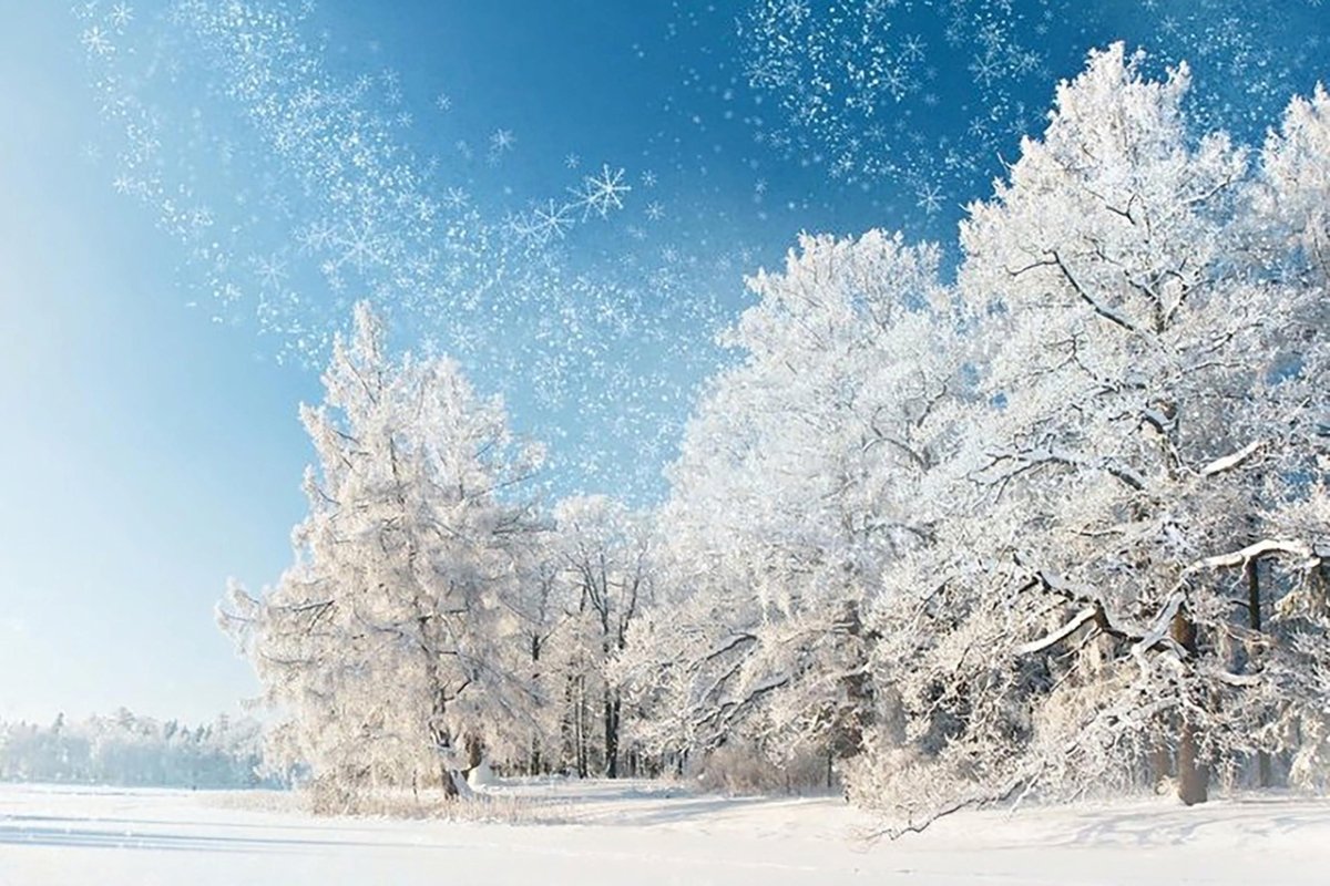 Зима январь