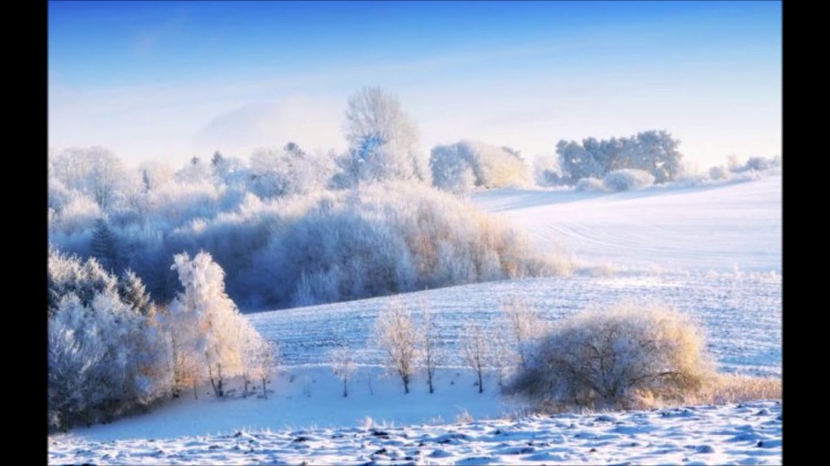 Название зимняя природа