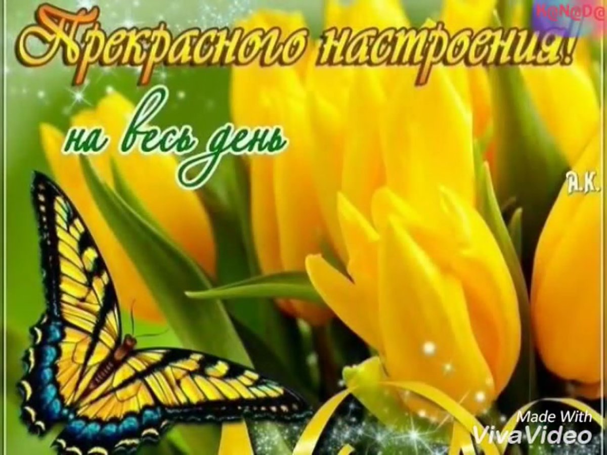 Открытки с добрым утром с желтыми тюльпанами