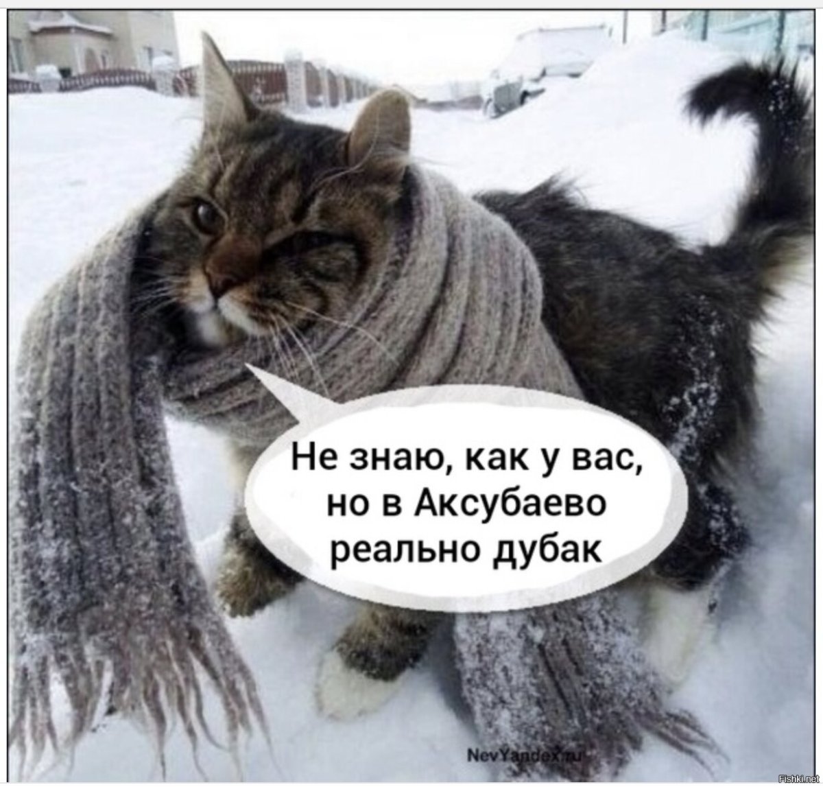 Одеваемся по погоде приколы