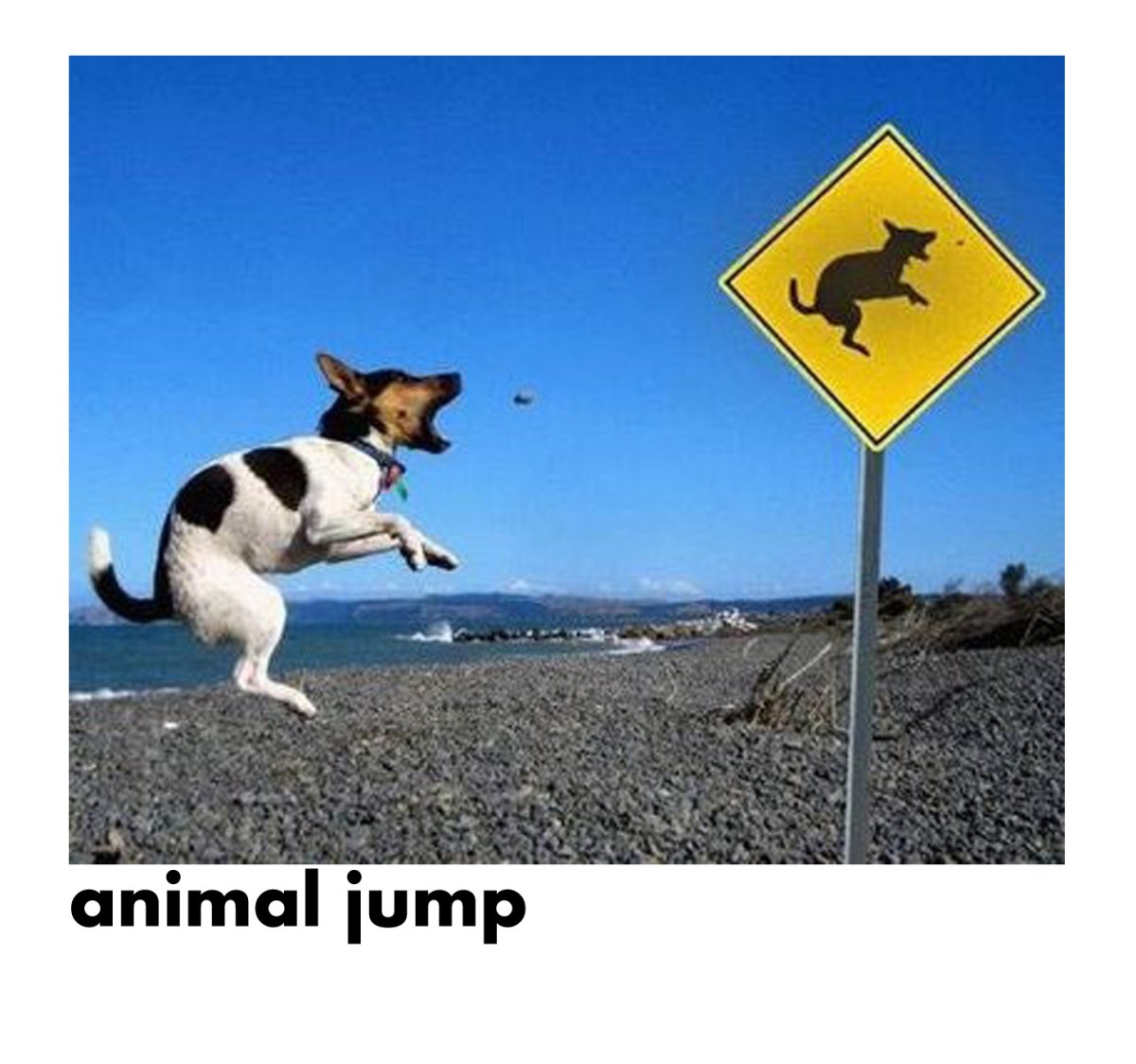 Лови момент демотиватор