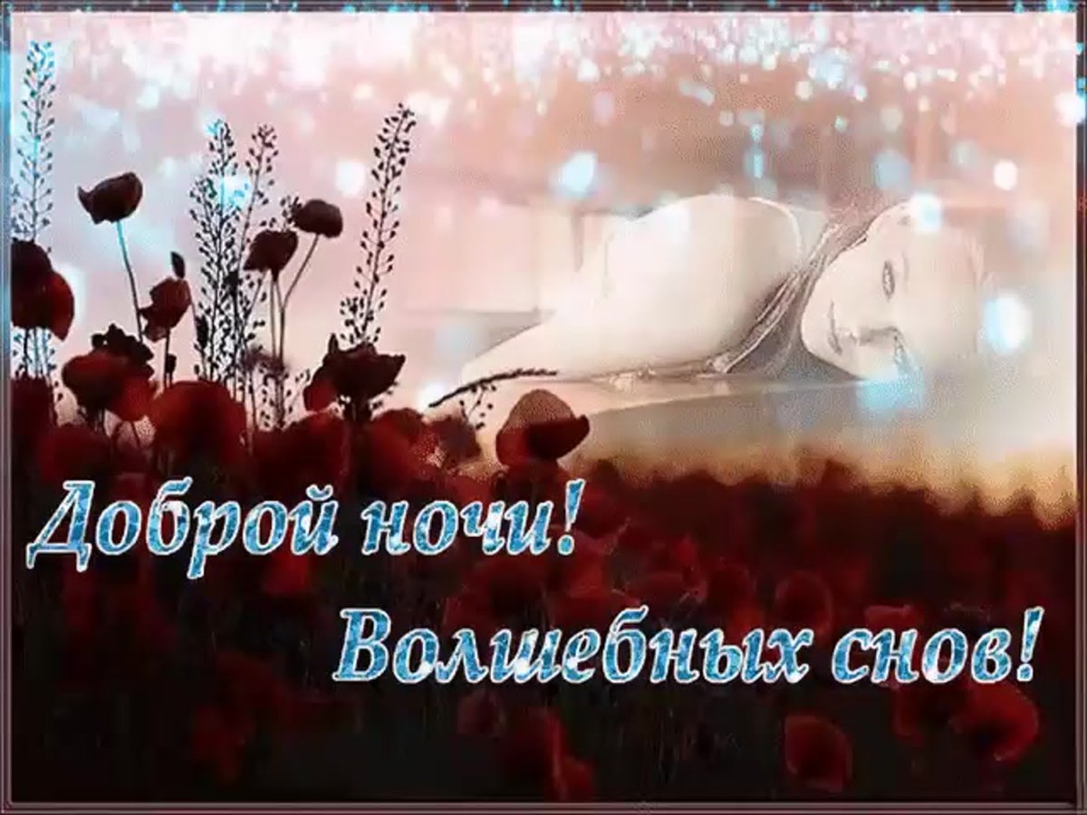 Спокойной ночи