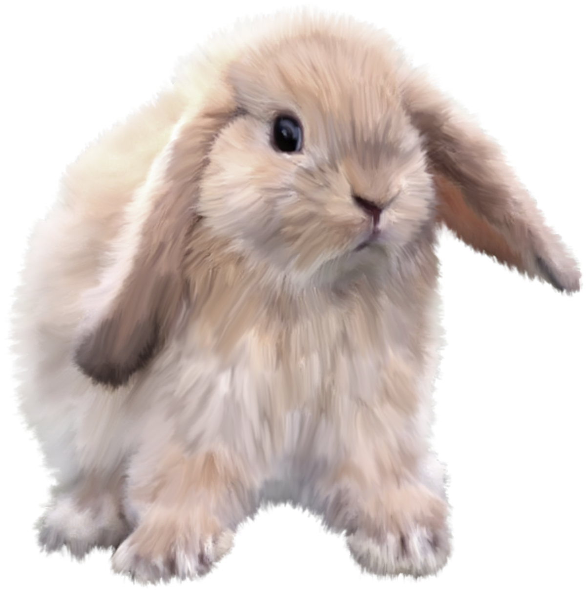Кролик PNG
