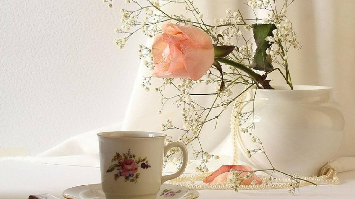 Нежные и добрые пожелания доброго дня