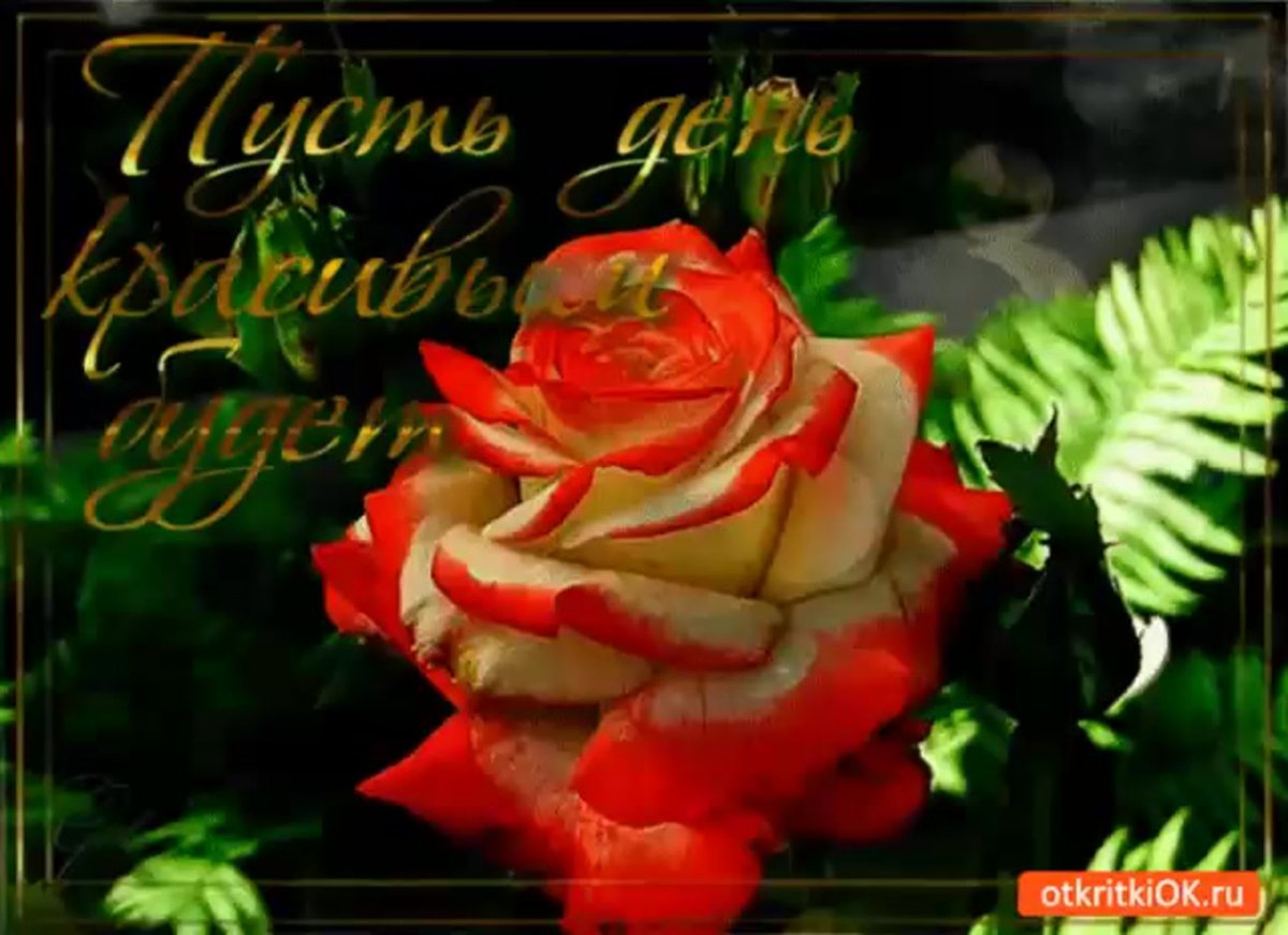 Открытки с добрым днём красивые