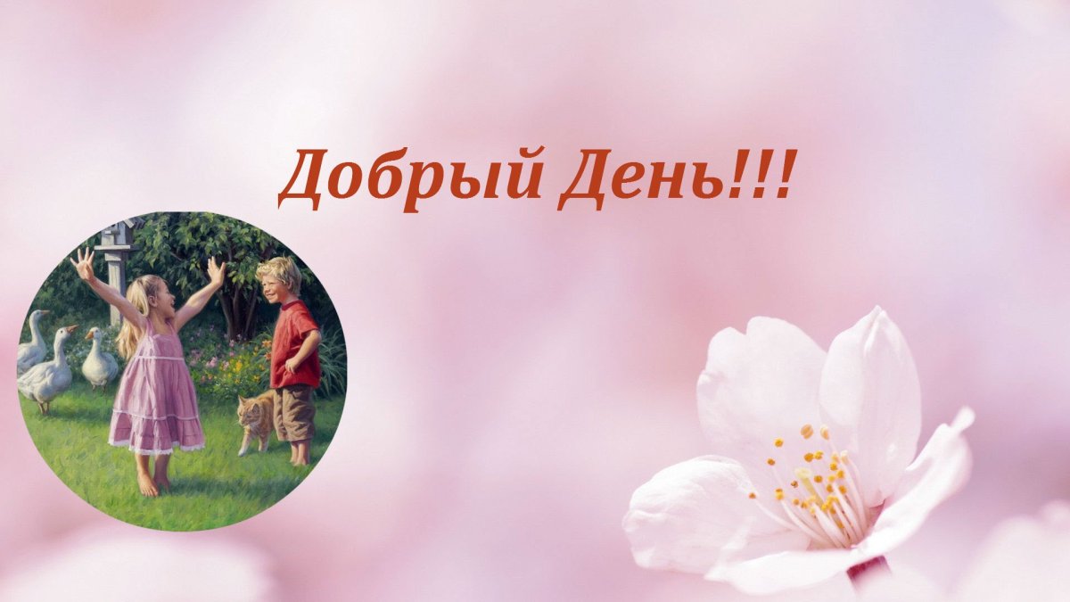 Добрый день