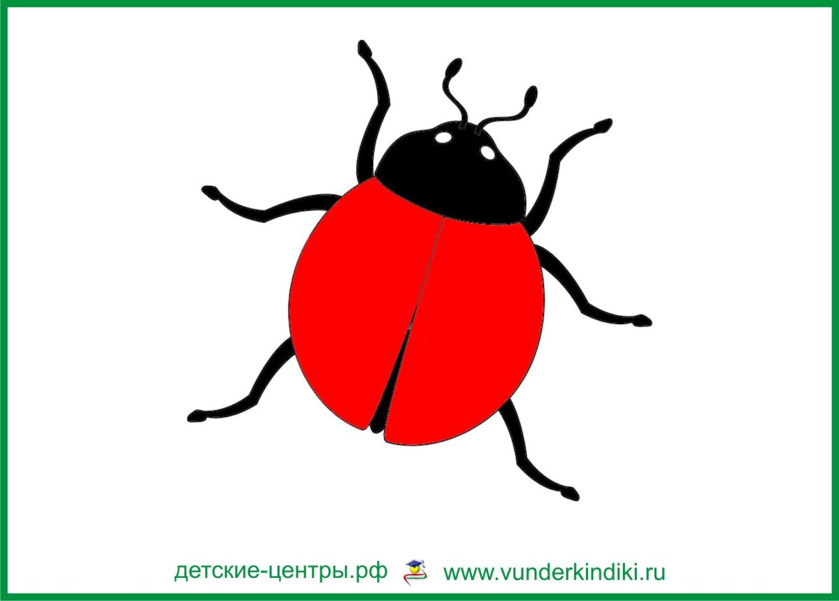 Божья коровка без точек для детей