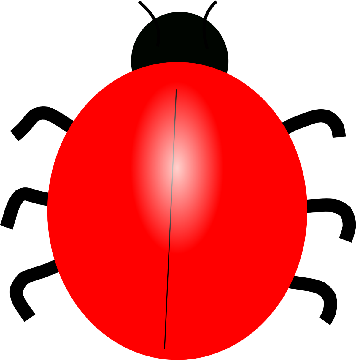 Божья коровка без точек