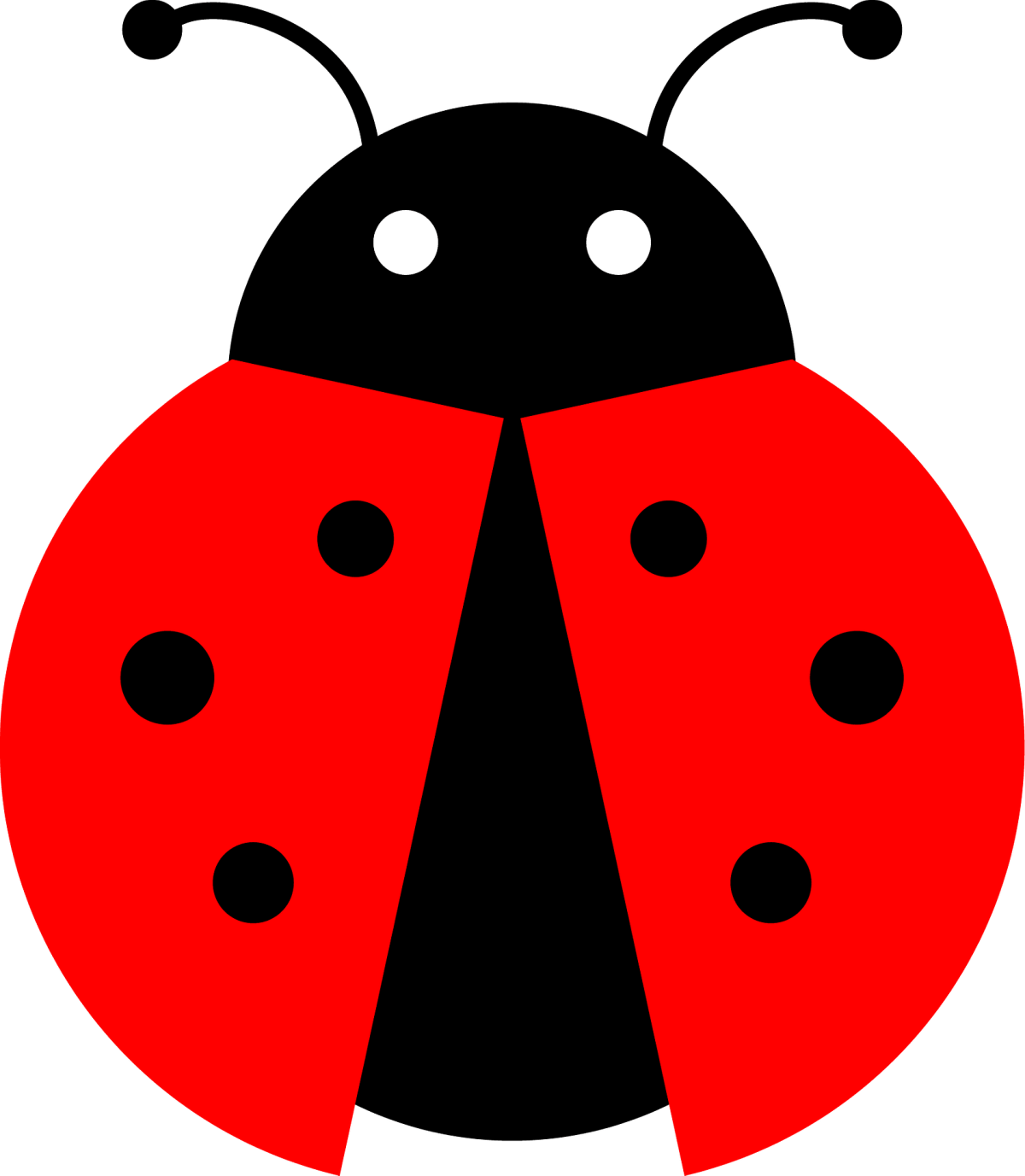 Ladybug Божья коровка