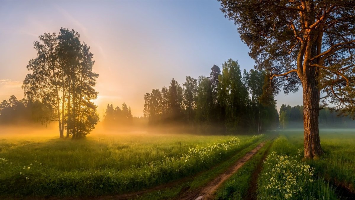 Русская природа