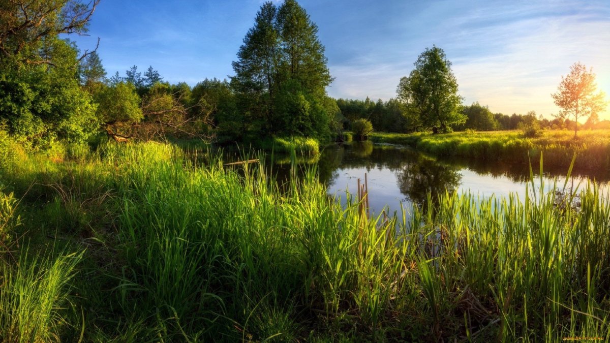 Лесные озёра средней полосы России