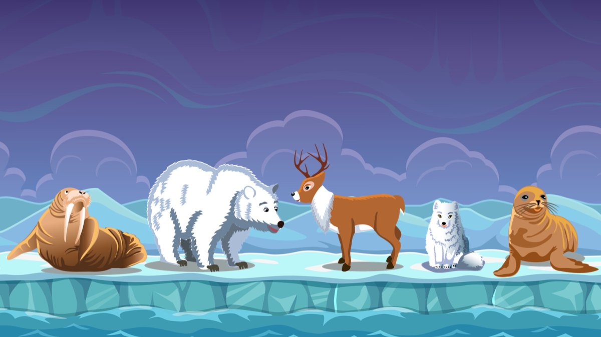 Животные севера для дошкольников