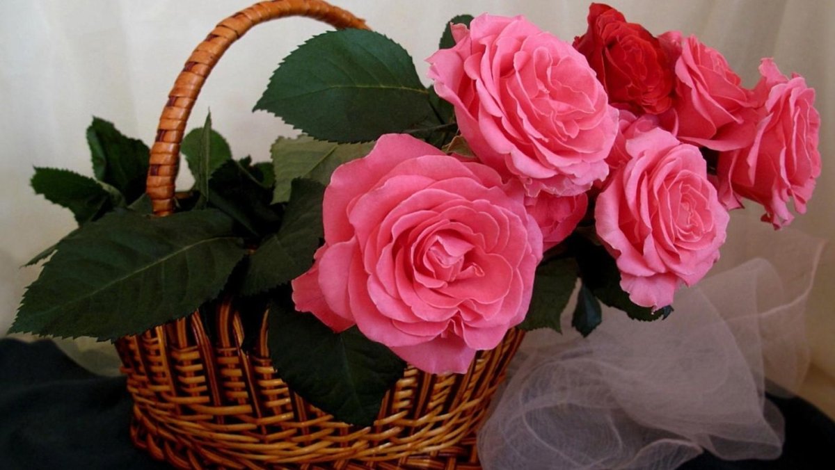 Пожелания всех благ