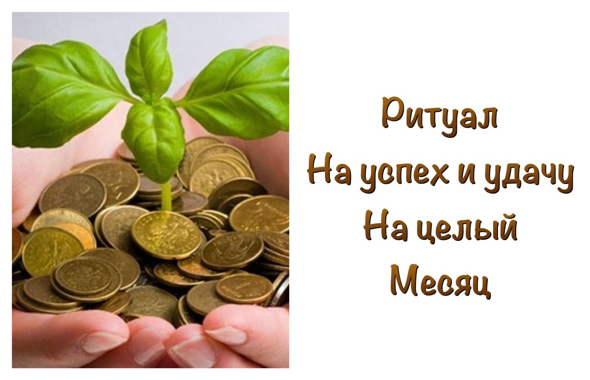 Пожелания хорошего рабочего дня